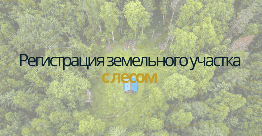 Земельный участок с лесом в Жуковском